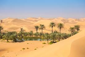 أثر الرحلات الدعوية في انتشار اللغة العربية