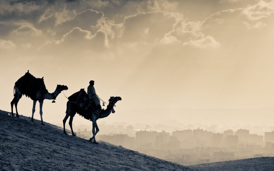 أوجه الاستفادة من منهج الصحابة والتابعين في رحلاتهم الدعوية في العصر الحاضر