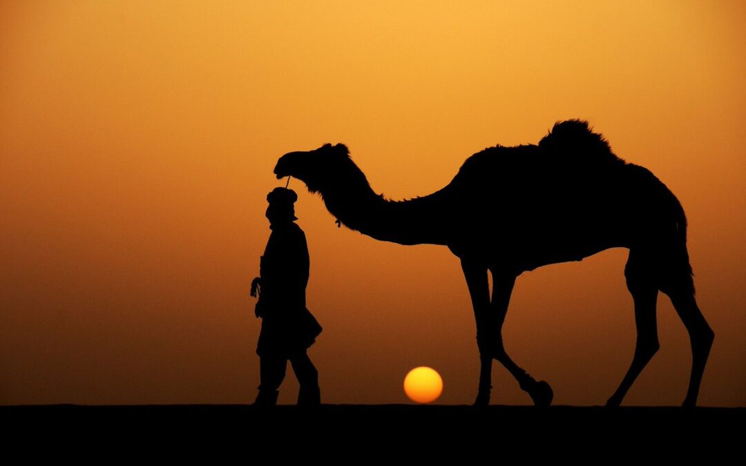 الرحلات والبعوث في سنة المصطفى ﷺ