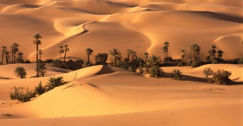 تأهيل المدعوين ليكونوا دعاة