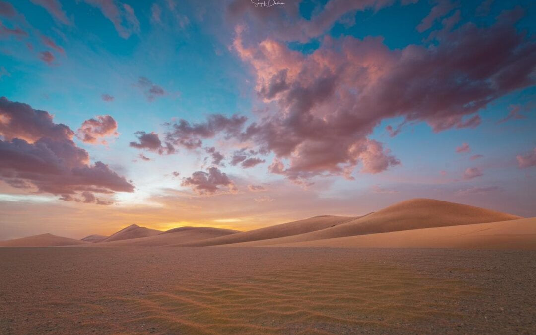 تاريخ الرحلة