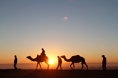 تبوء الصحابة والتابعين رضي الله عنهم المرتحلين والمبعوثين للدعوة المكانة المرموقة في العلم والدين