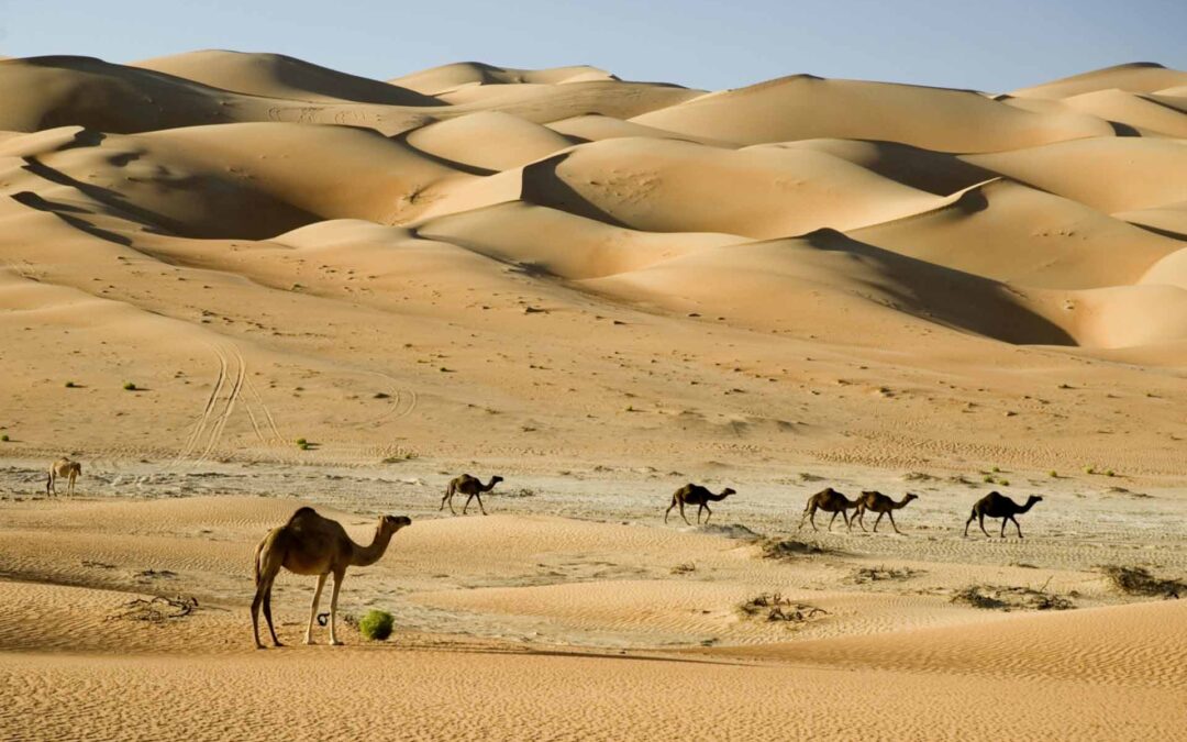 خشية الصحابة والتابعين رضي الله عنهم من الله وكيف تأثر الناس بها