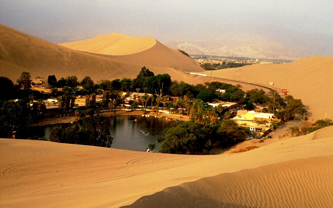 عوامل نجاح الرحلات والبعوث الدعوية للصحابة والتابعين رضي الله عنهم