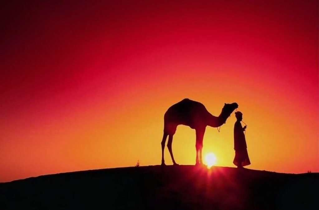 من الثمرات التي تحققت للصحابة والتابعين رضي الله عنهم المرتحلين والمبعوثين للدعوة